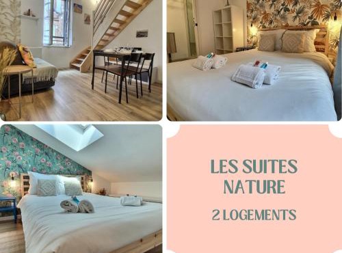 Les Suites Nature - 2 Logements - Hyper Centre