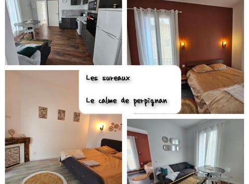Les sureaux, le charme du centre de perpignan