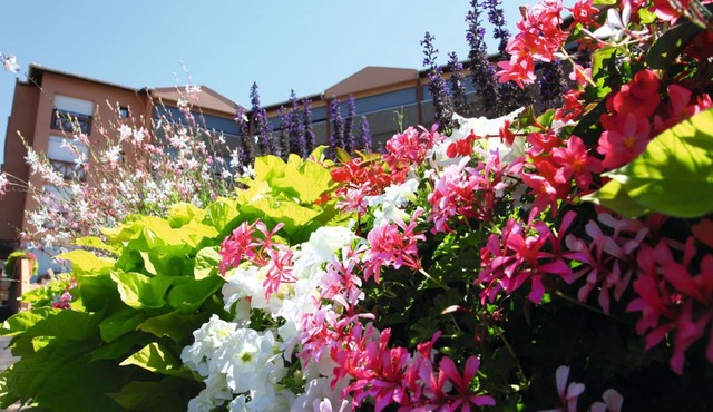 LES TERRASSES DE BORDA***