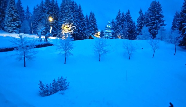 LES TERRASSES du MONT BLANC - 2 rooms - 6 sleepings