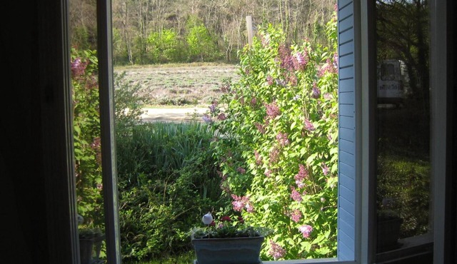 Les Théolats – The Cottage with Garden View, Terrace & Parking