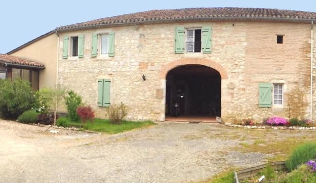 les tilleuls de la voie verte