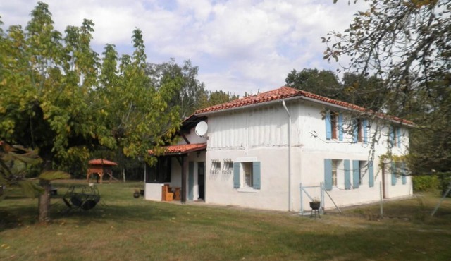 Les Tuileries - Vert