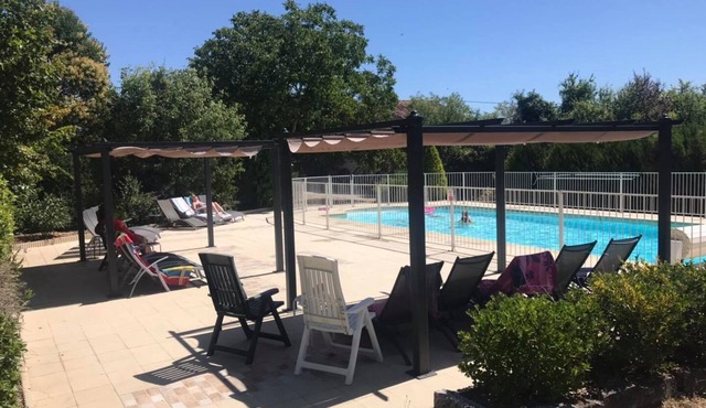 Les Vieilles Ombres - Pineau