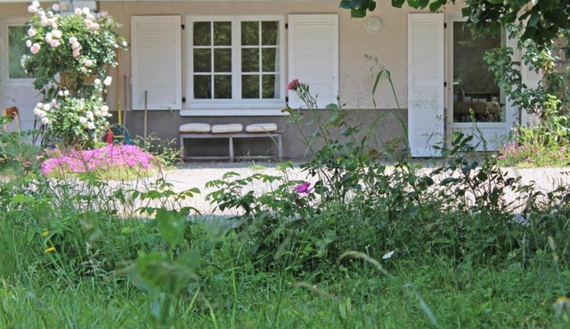 - les vieux fourneaux -