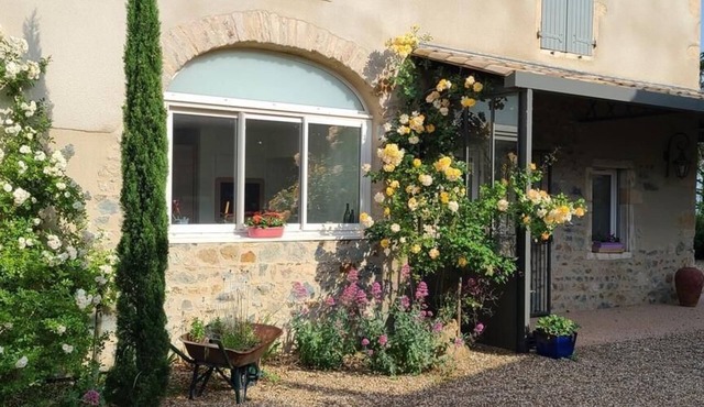 Les Vignes de Théonie