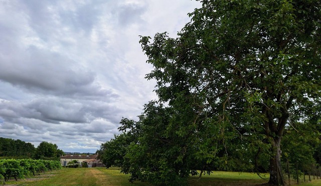 Les Volets bleus, family Charentaise house, 10 km from Jonzac, large garden