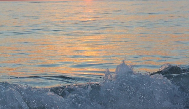 Less than 3 Miles to Siesta Key Beach! NO pet fee!