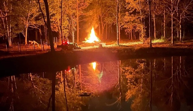 Let's Get Back To Nature, Let’s Get To Life