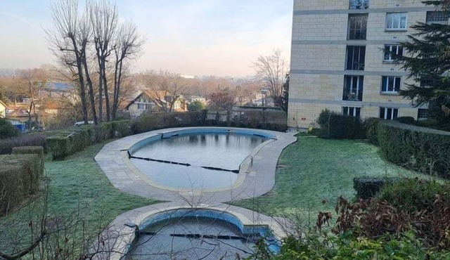 Let's take a walk in the woods