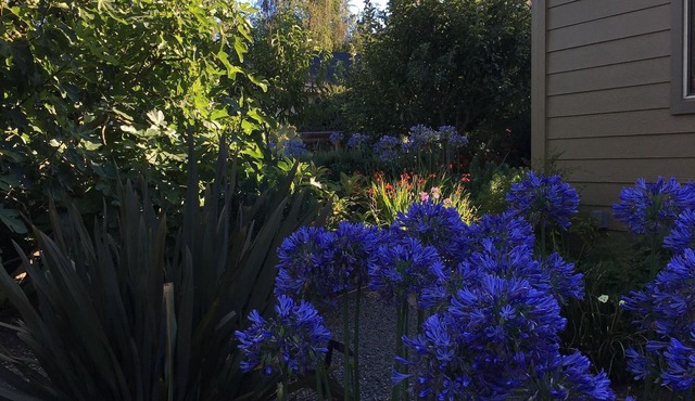 Let the sun shine in!