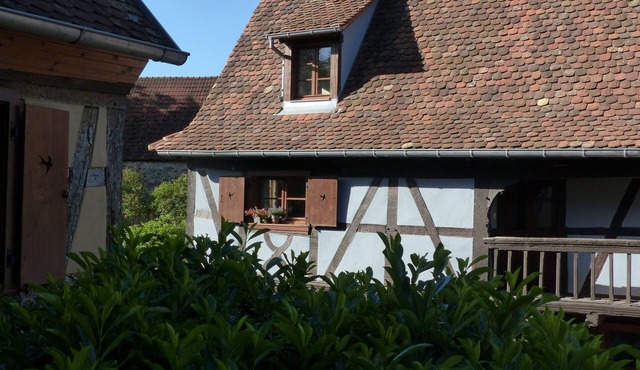 Lettres de mon Moulin - Colette Room