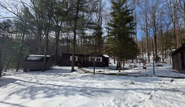 Lewis' Cottage - Woodland Retreat Near Ohiopyle