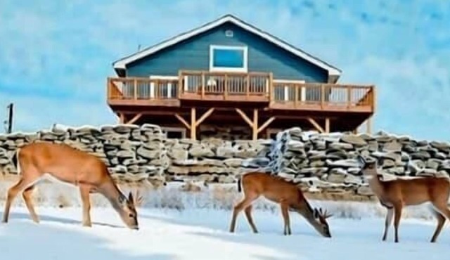 Lewistown Pine View Retreat's Newly-Built Modern Farmhouse