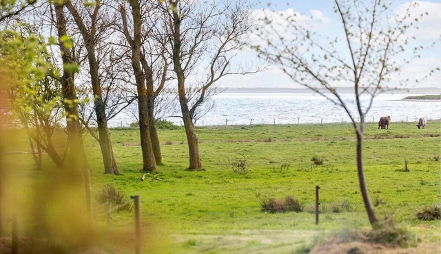 LF13172 Nykøbing M - Strandvænget 76