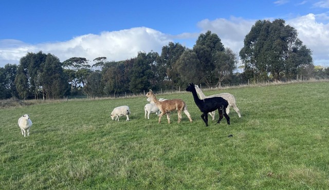 LG & B Farm View Cabin