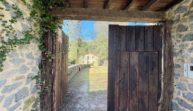 LIBELULA HOUSE