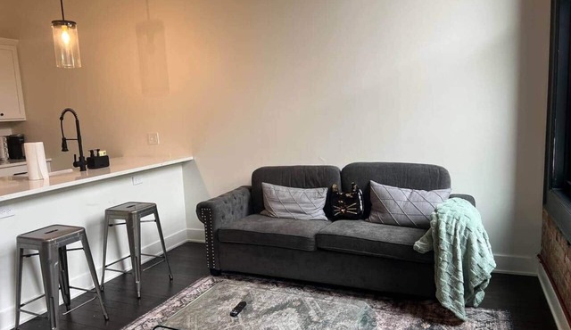 Liberty Lofts 1 bedroom apt 202 w/sofa bed