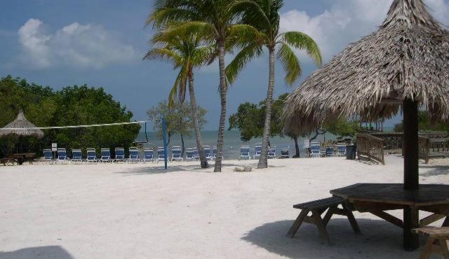 LICENSED MGR - MODERN OCEANFRONT - OCEAN VIEWS CONDO! BAR and BEACH RESORT!