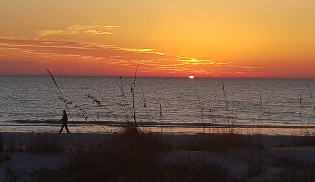 Lido/St. Armands, Sarasota-Walk to Beach & St. Armands, Private cottage w/grill!