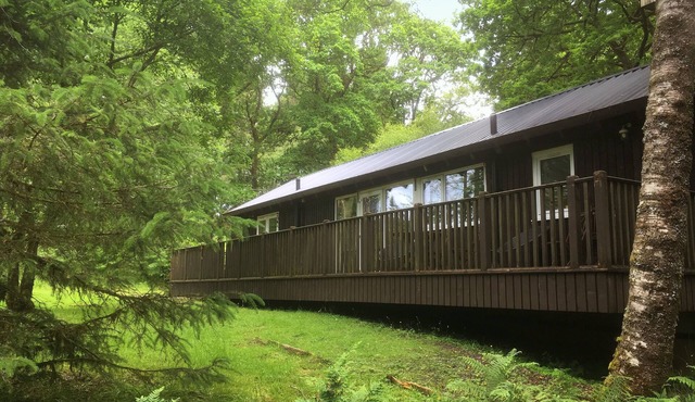 LIEVER is a charming log cabin in a beautiful forest location close to Loch Awe