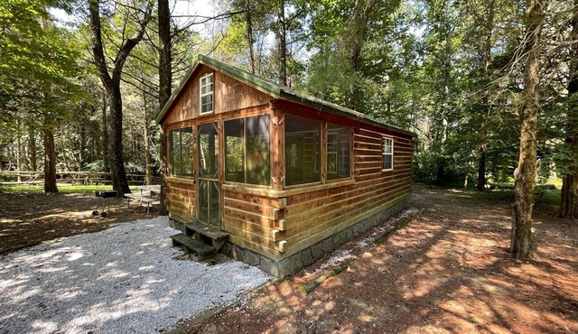 Life's A Hoot, Twin Lakes Country Cabins