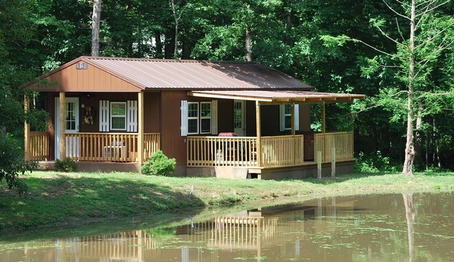 Lifetime memories, WIFI, Hot tub, Fire Pit, Gas Grill, High Chair, Bird Watching