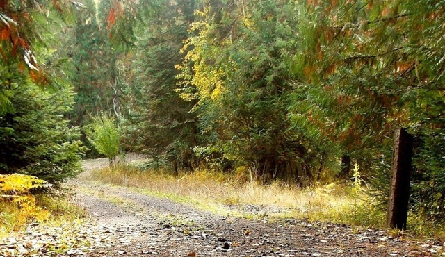 Lifewater Ranch - A Place Of Rest And Healing. Fishing, Hiking, Spa, Pool