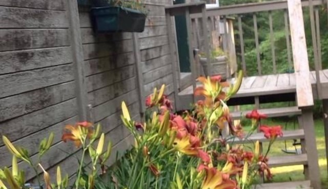 Light, Airy And Fabulous