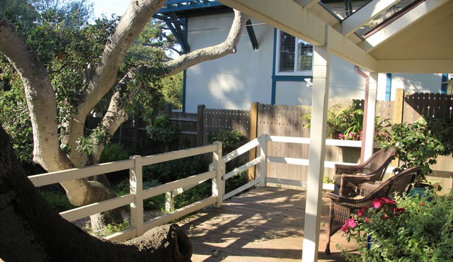 Light-filled Home Steps from Ocean Ave & Beach - OPEN CAR WEEK