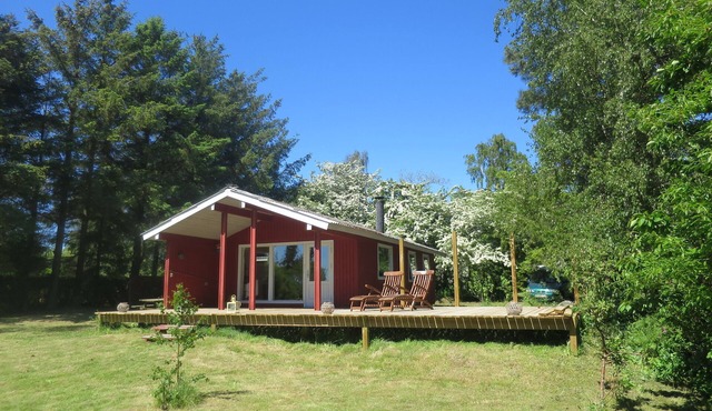 Light wooden cabin at Zealand's best beach.