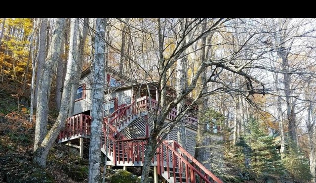 Lightning Bug Lodge at Cattail Creek (treehouse overlooking Cattail Creek in Burnsville NC) between beautiful Asheville and Boone! Perched at nearly 4K elevation...and 10 minutes from historic mountain town of Burnsville. Awesome hiking, gem mining, as...