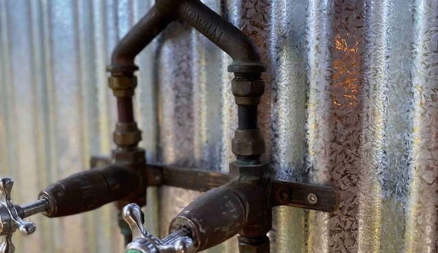 Like a magic carpet ride in the canopy of the forest.