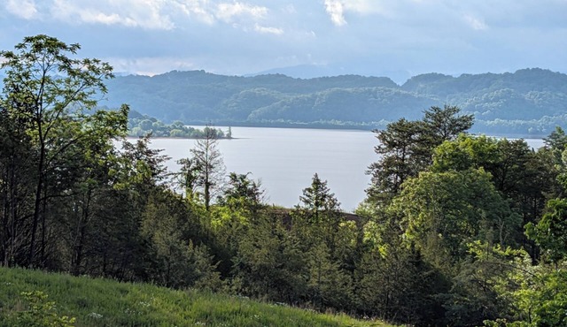 Like New Lake & Mountain View Serenity from every room in the house!