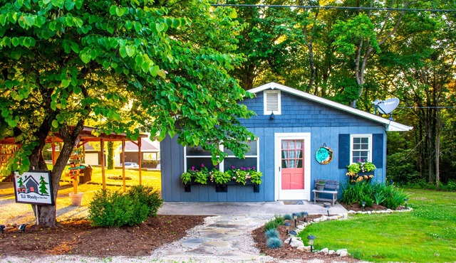 Lil' Woody. Dog Friendly Studio, Deck with Lake-view, Close to Eureka Springs