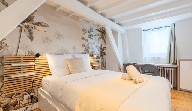 Lille Beaux Arts equipped apartment