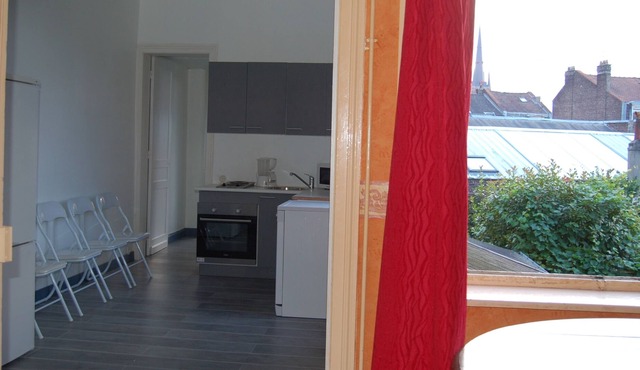 LILLE BRIGHT APARTMENT CLOSE TO STATION and LARGE PALACE FREE PARKING