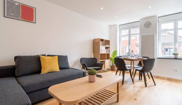 Lille center equipped and bright apartment