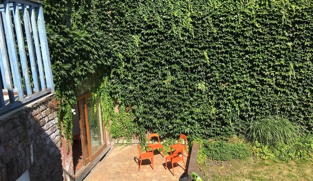 Lille-centre: 6 bedrooms in large house with garden