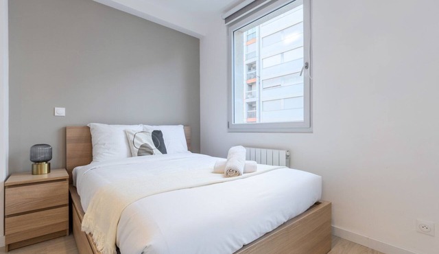 Lille Saint-Michel: Fully-equipped studio