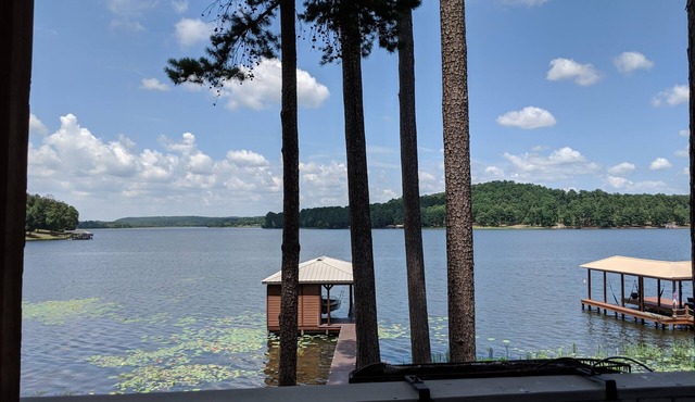 Lilly's Pad at Lone Star Lake