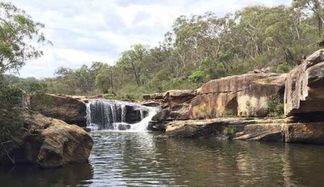 Lillyfield bush retreat