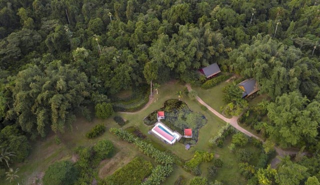 Lillypads Yellow Cottage - Rainforest Getaway