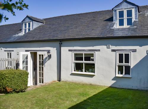 Lily Pad 1 - Uk49648