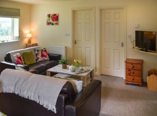 Lily Pad 4 - Uk43910