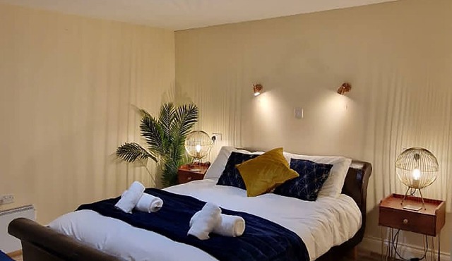 Lily Pad by Paymán Club