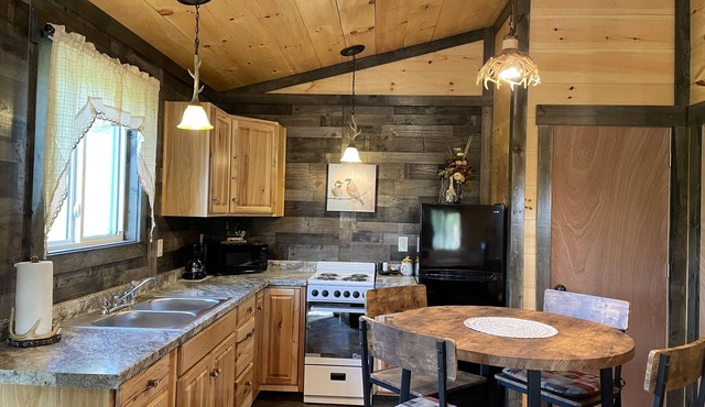 LILY PAD: Cozy Cabin with Unique Charm overlooking small pond on our property.