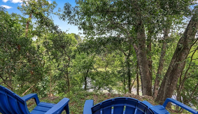 Lily Pad I Wimberley cottage on Cypress Creek!
