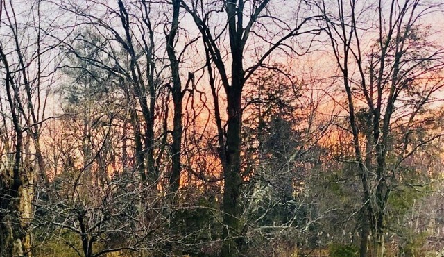 Lily Pond Farmhouse Charming 1820s home overlooking private pond on CT/NY border