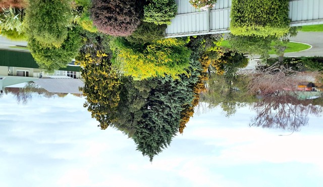 Lilybrook Rangiora Motel